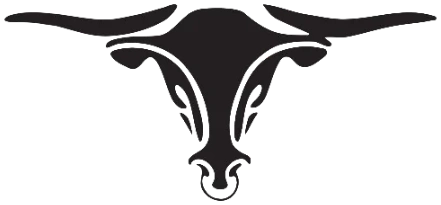 Earnhardt Ford longhorn logo
