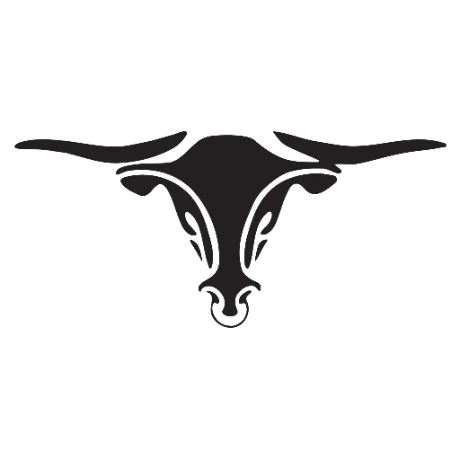 Earnhardt Ford longhorn logo